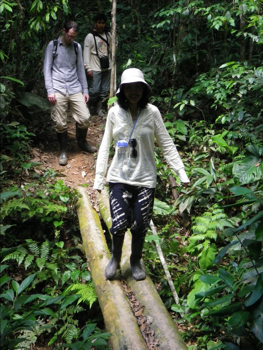 Amazon - Peru15